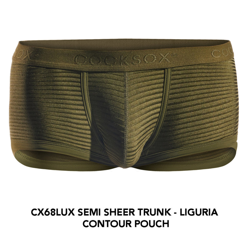 CX76LUX Semi-Sheer Sports Brief